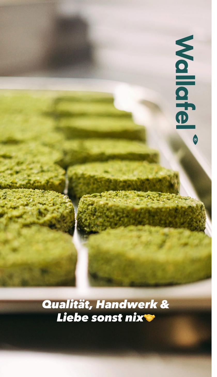 Frisch geformte Wallafel im Blech, bereit zum Schockfrosten